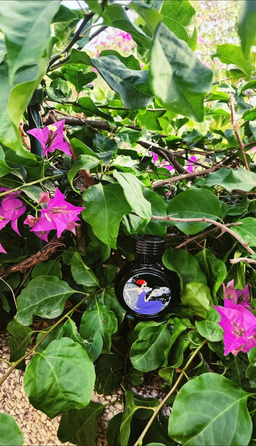 Haute Fragrance Company Wrap Me in Dreams