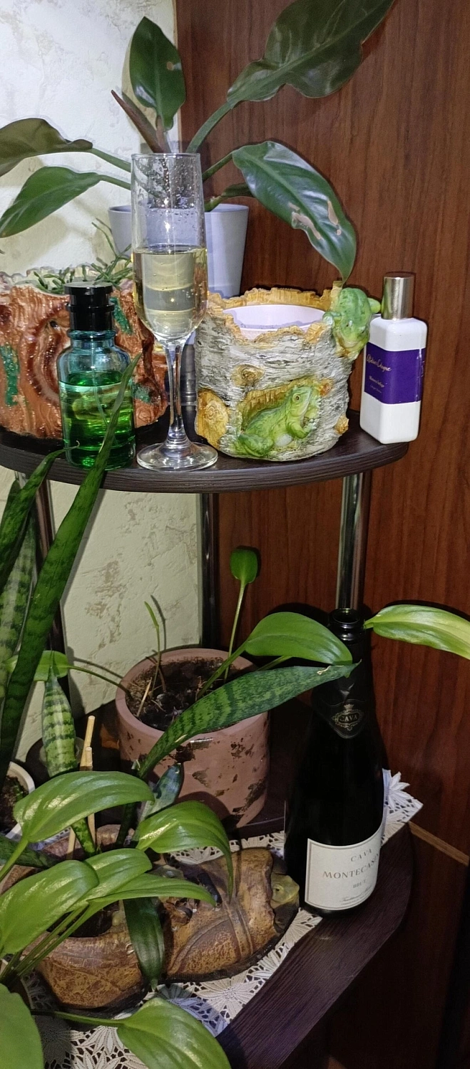 Atelier Cologne Mimosa Indigo