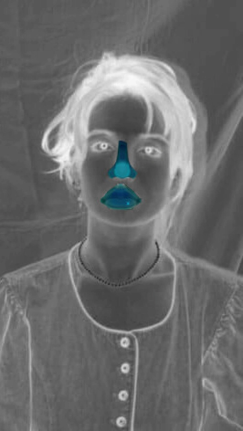 Salvador Dalí Laguna