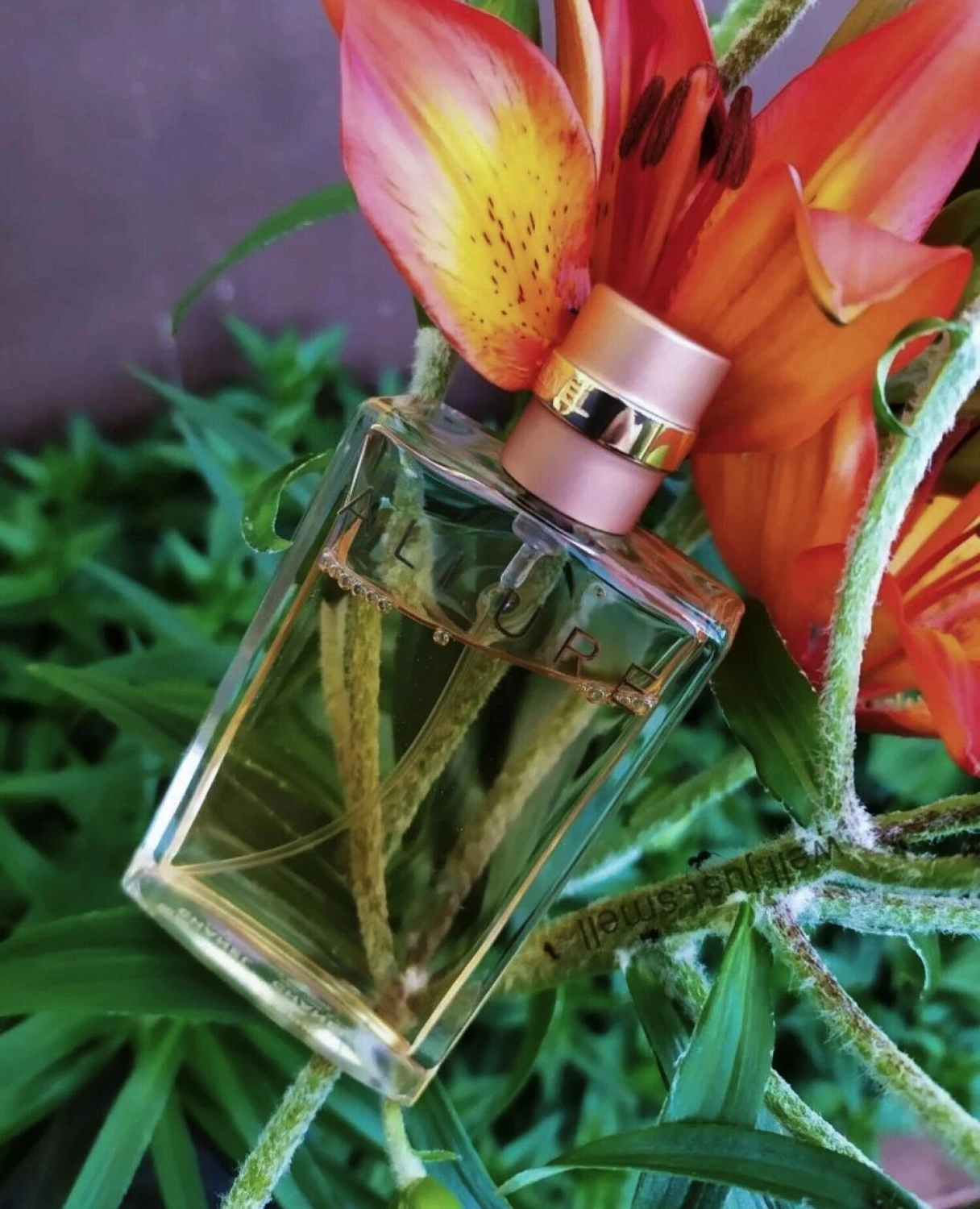 Chanel Allure Eau de Parfum