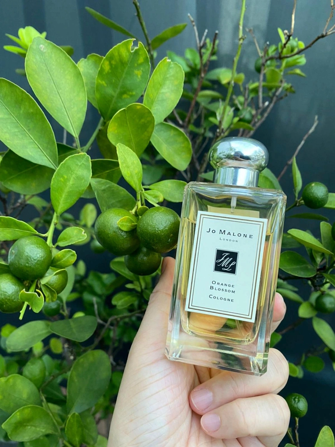 Jo Malone Orange Blossom