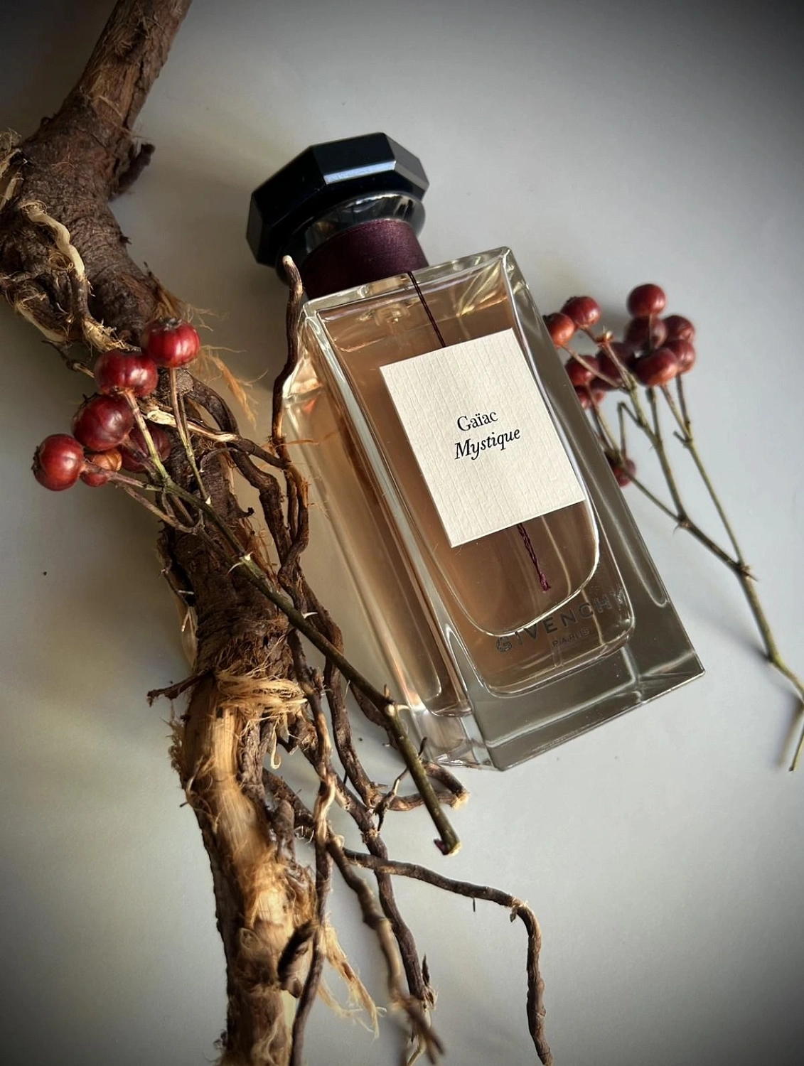 Givenchy Gaiac Mystique