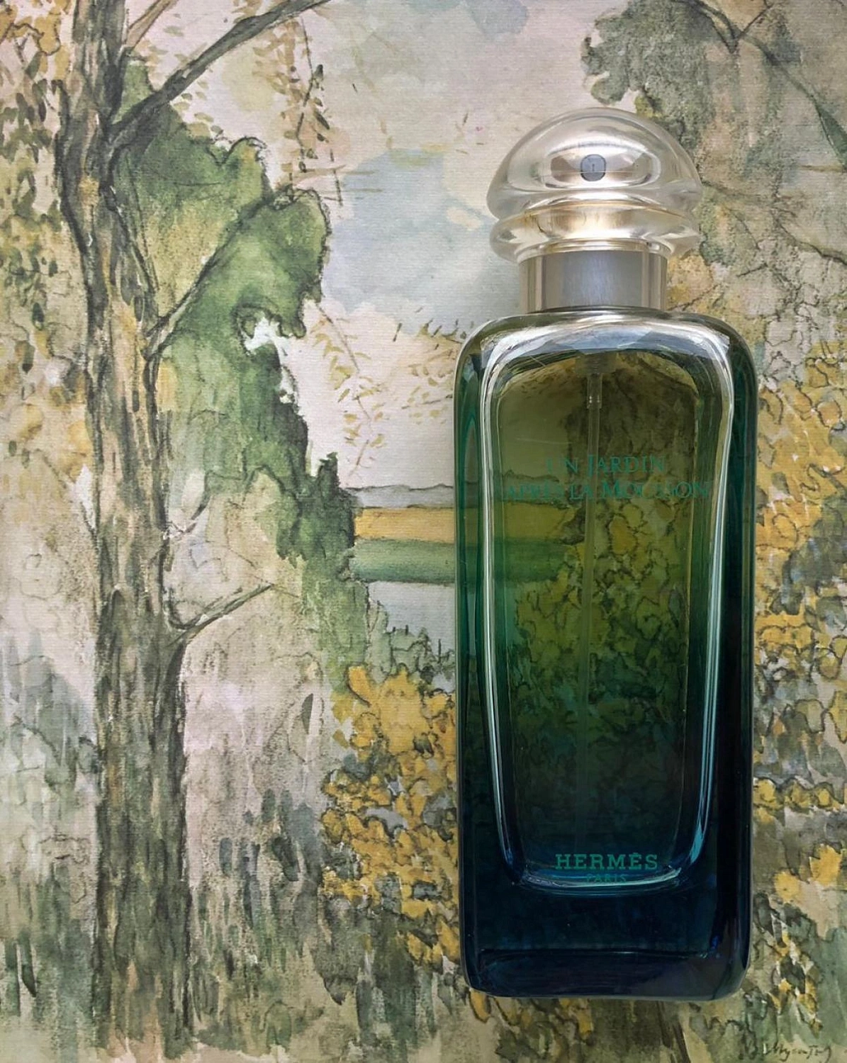 Hermès Un Jardin Apres La Mousson