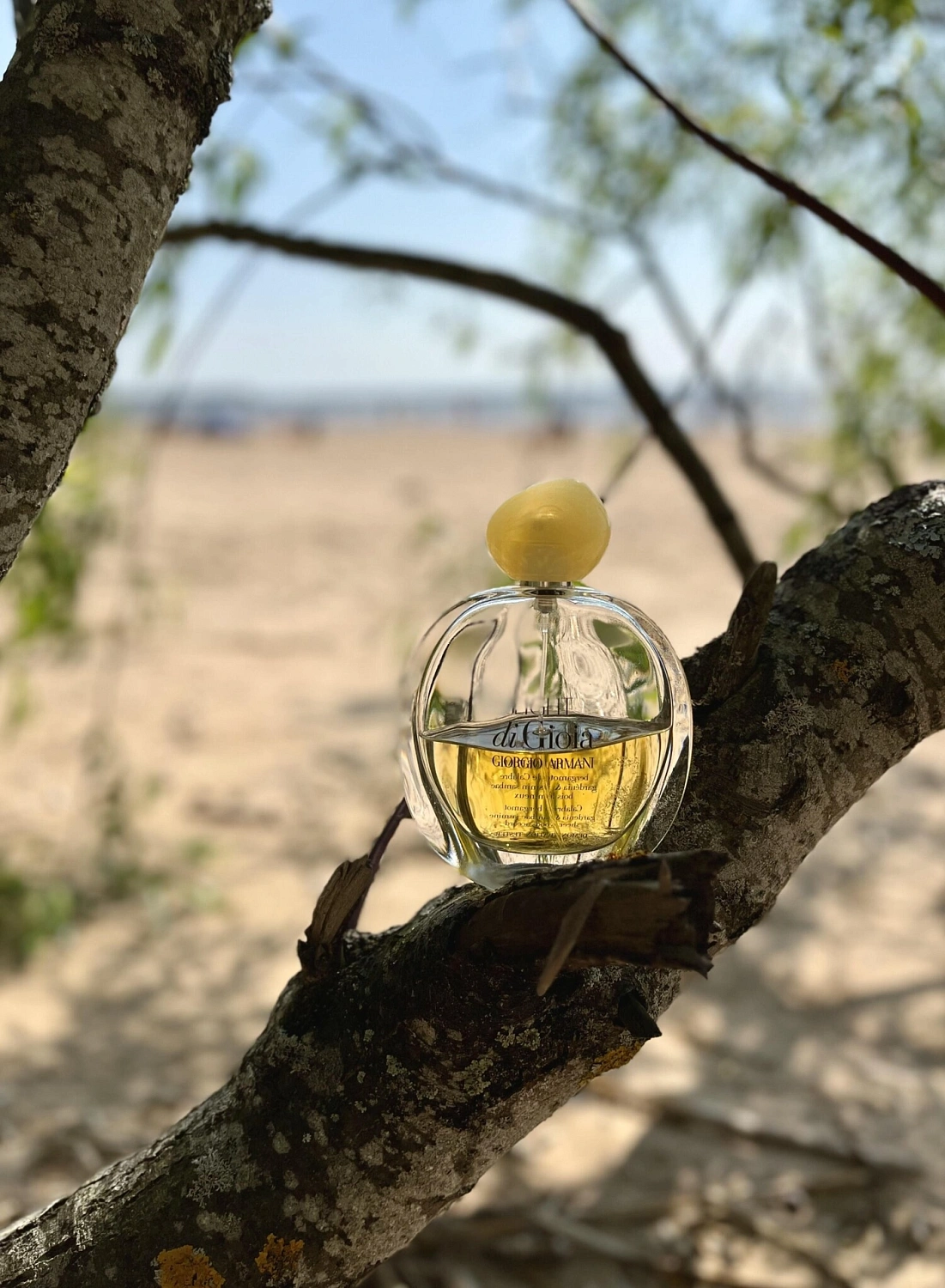 Armani Light di Gioia