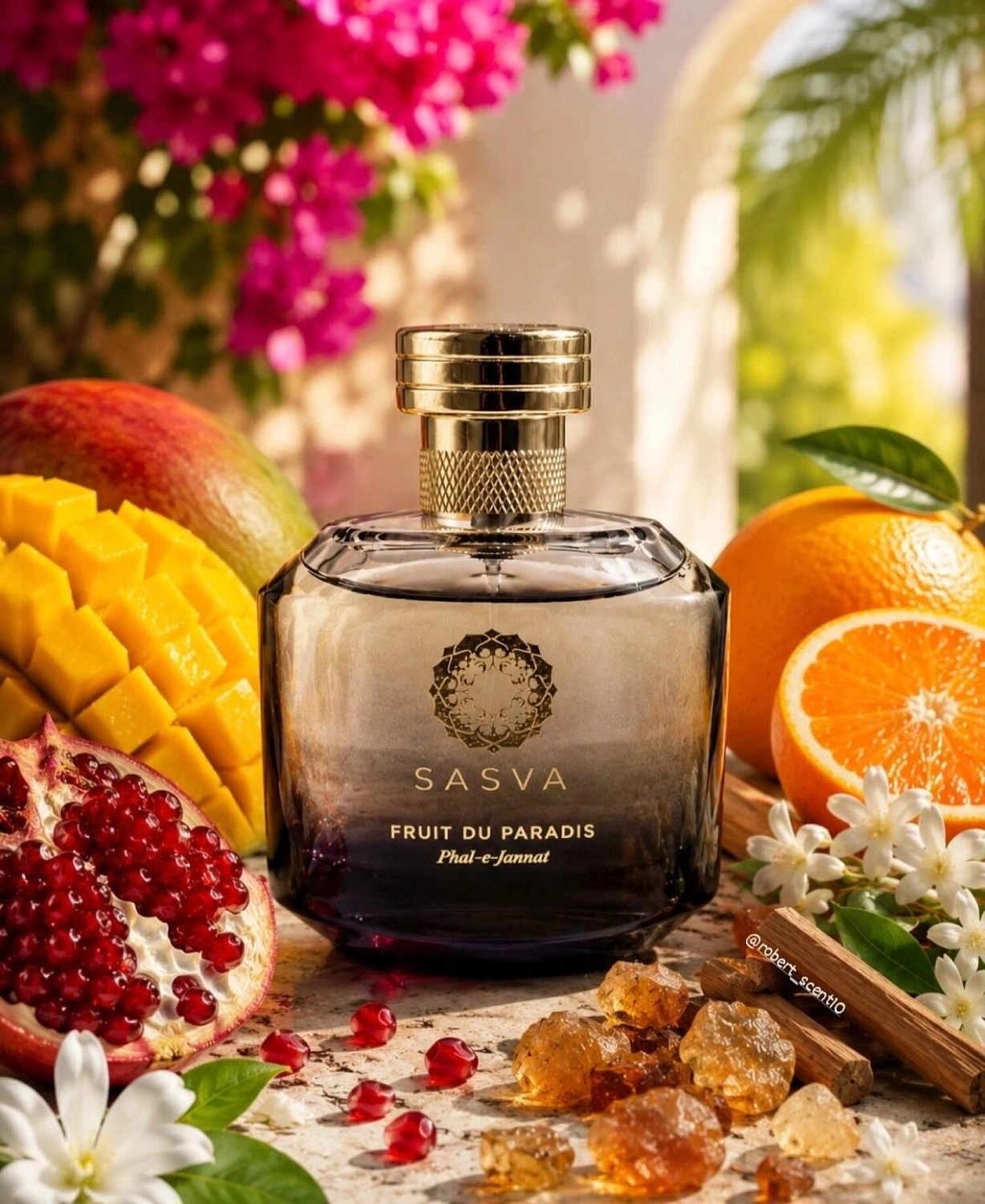 Sasva Fruit Du Paradis Phal-e-Jannat