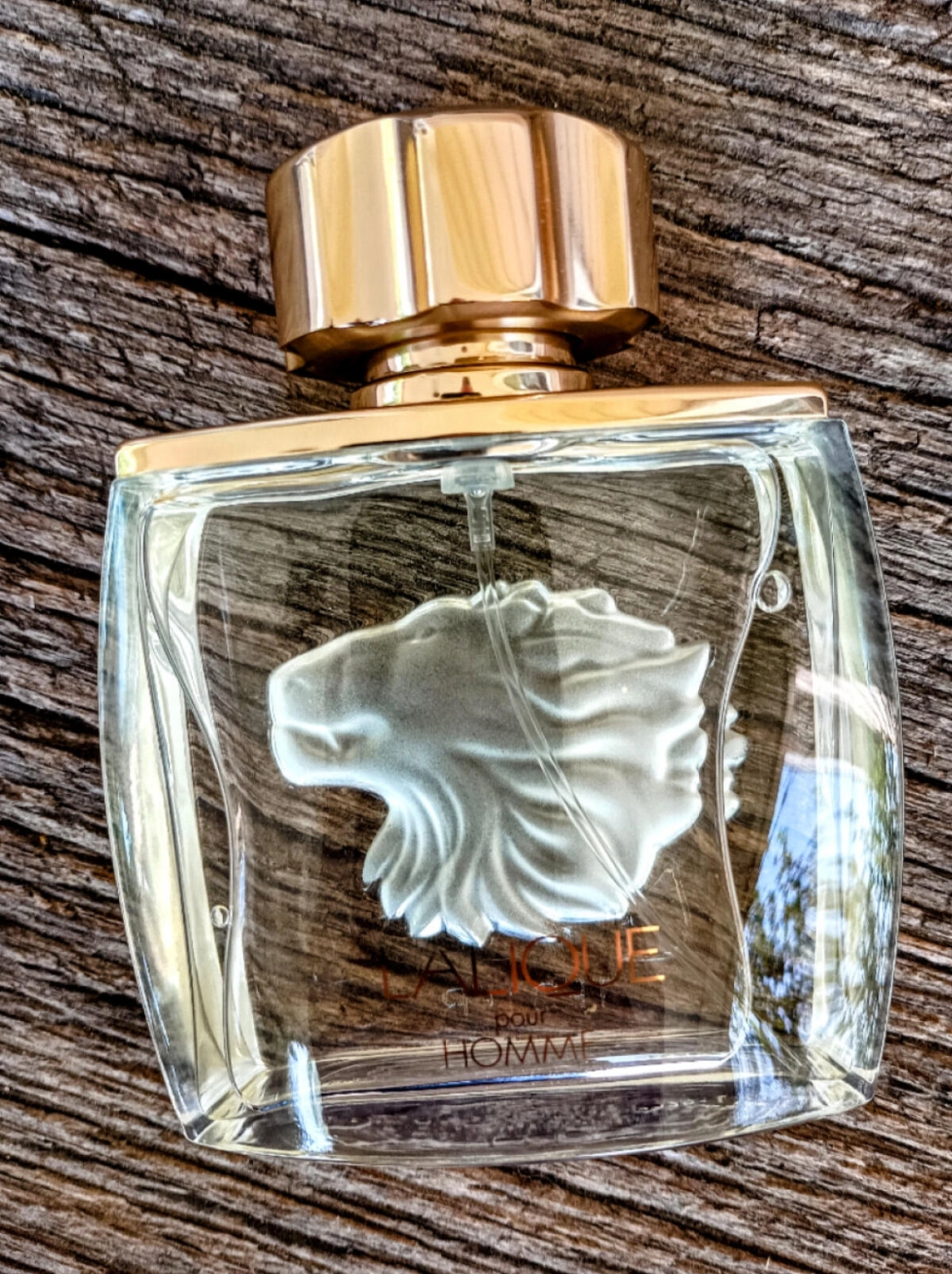 Lalique Pour Homme