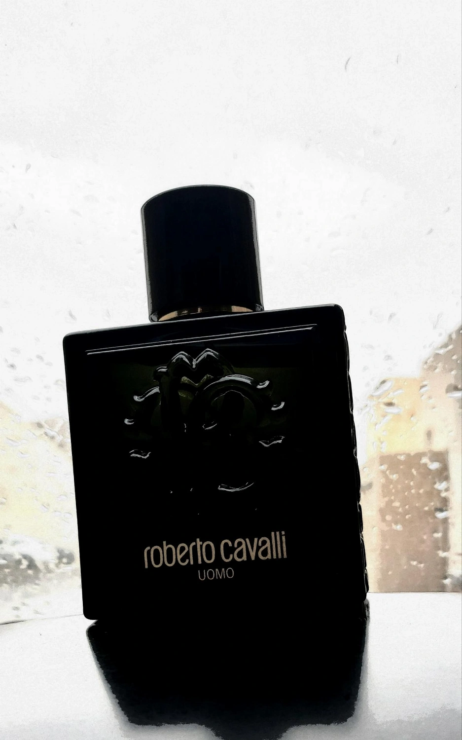 Roberto Cavalli Uomo