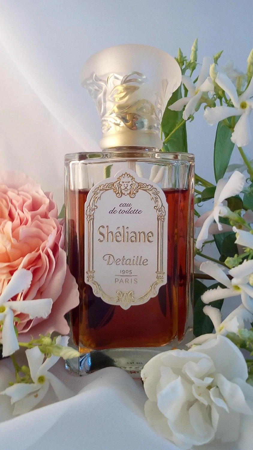 Detaille Sheliane