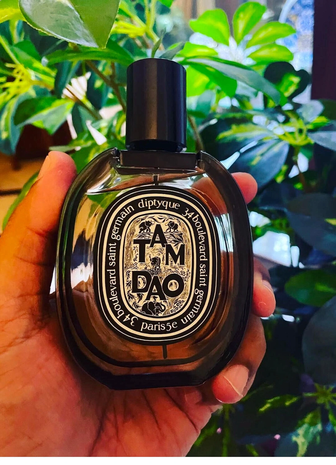Diptyque Tam Dao Eau de Parfum