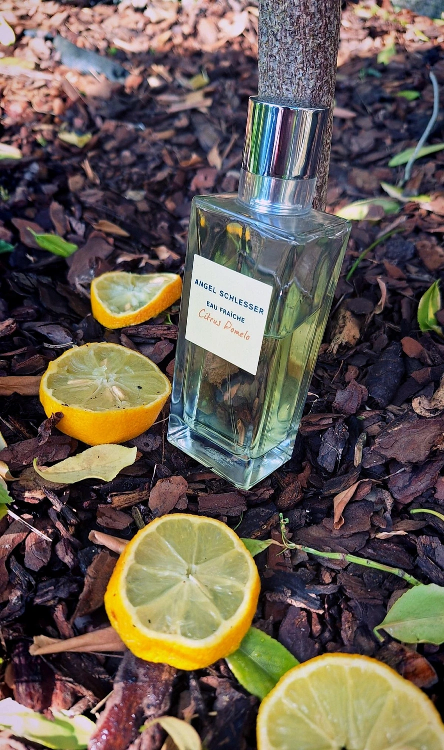 Angel Schlesser Eau Fraiche Citrus Pomelo