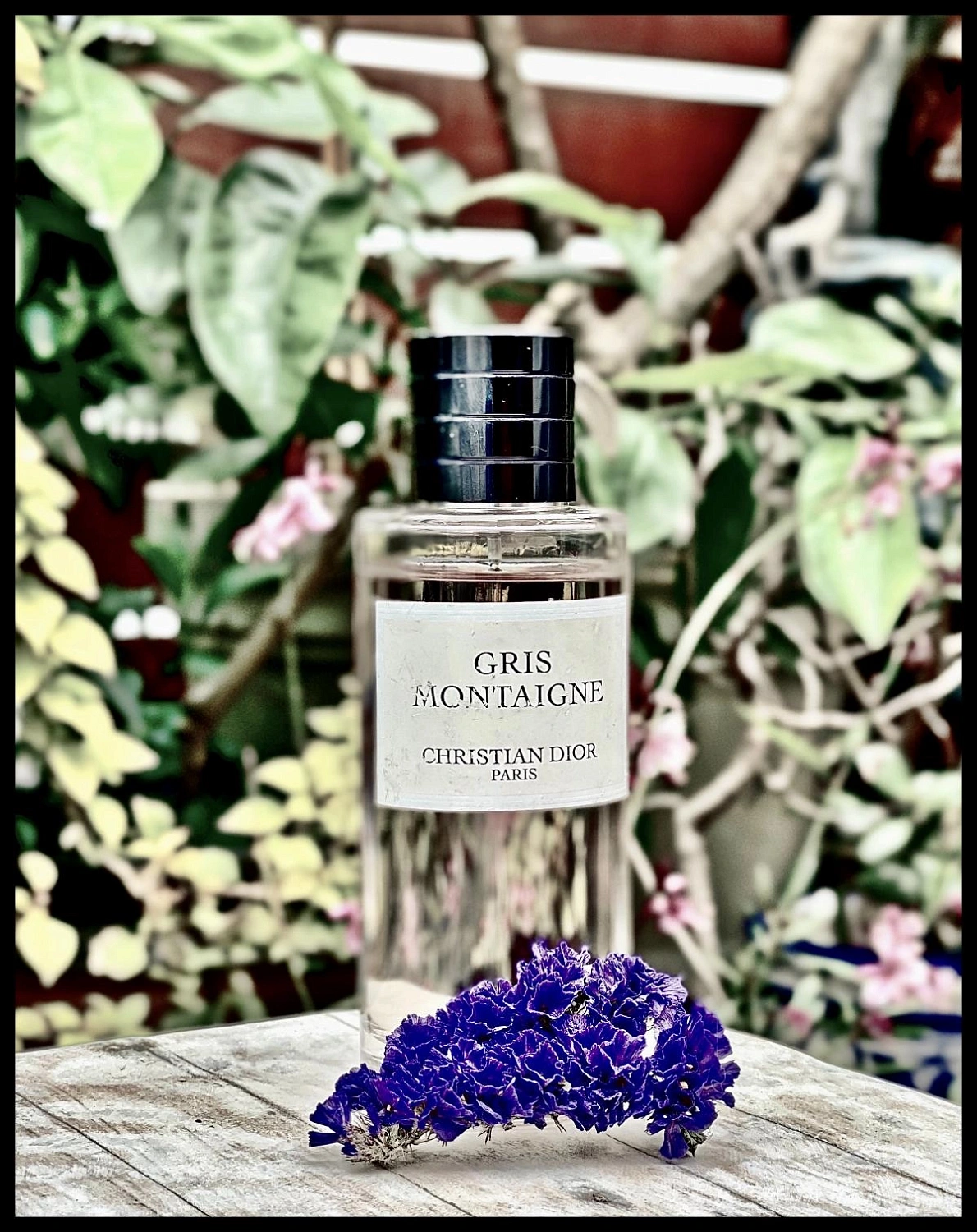 Christian Dior Gris Montaigne