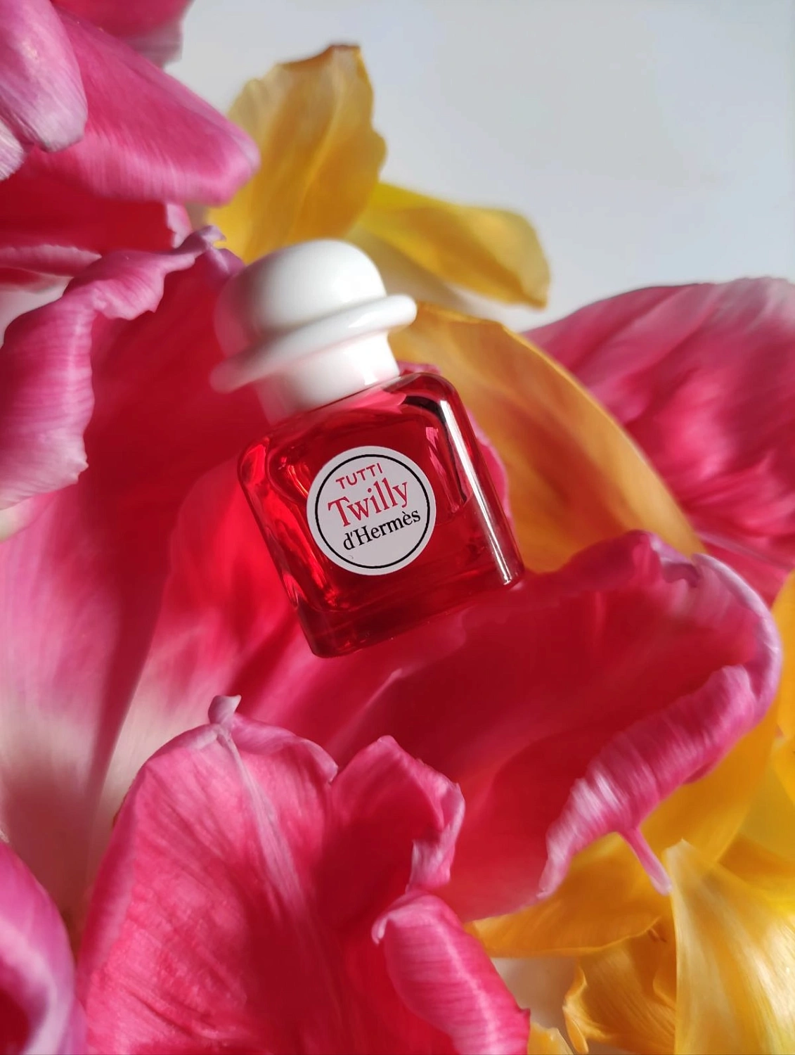 Tutti Twilly d'Hermès