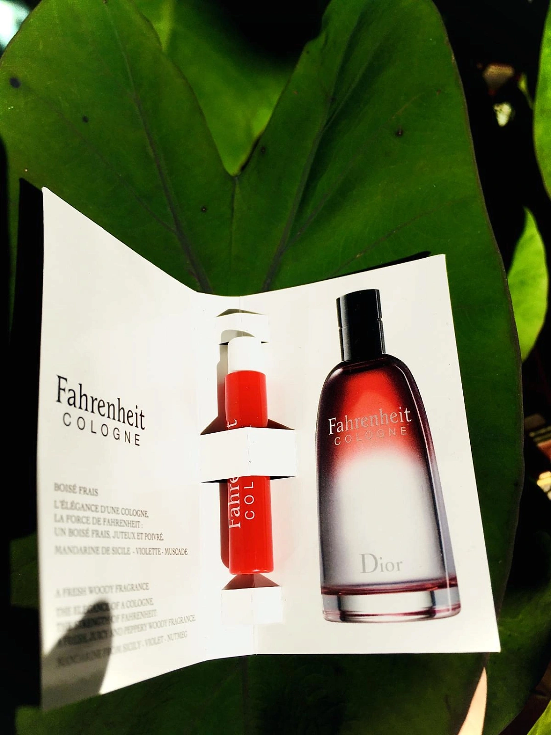Christian Dior Fahrenheit Cologne