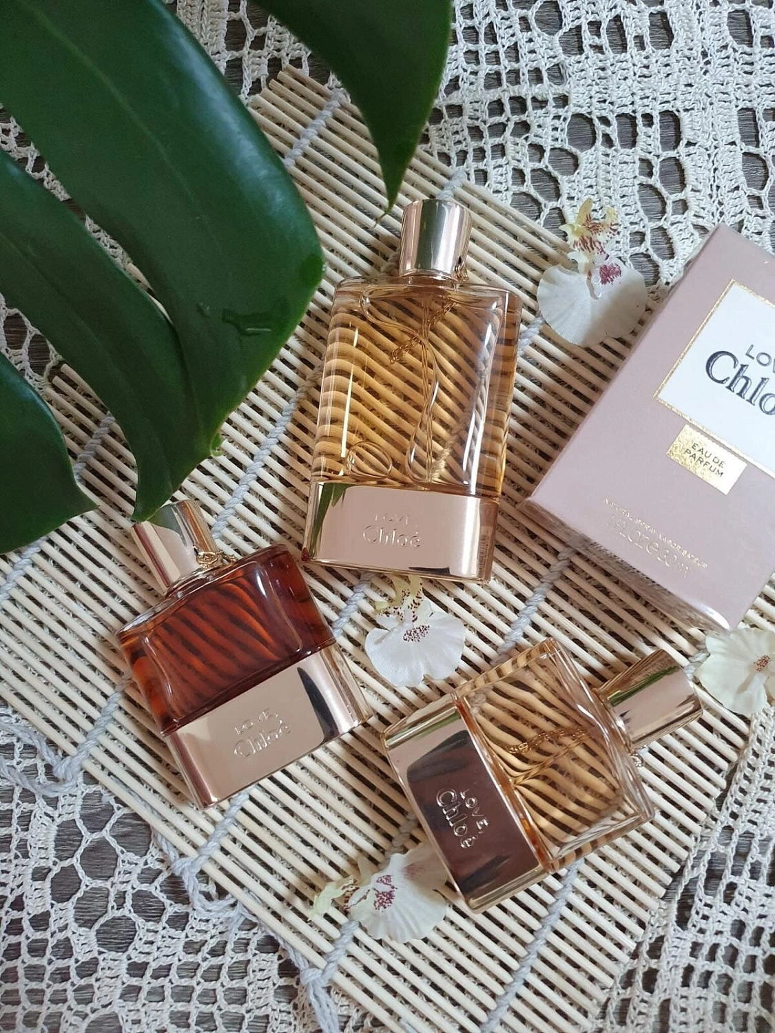 Chloé Love