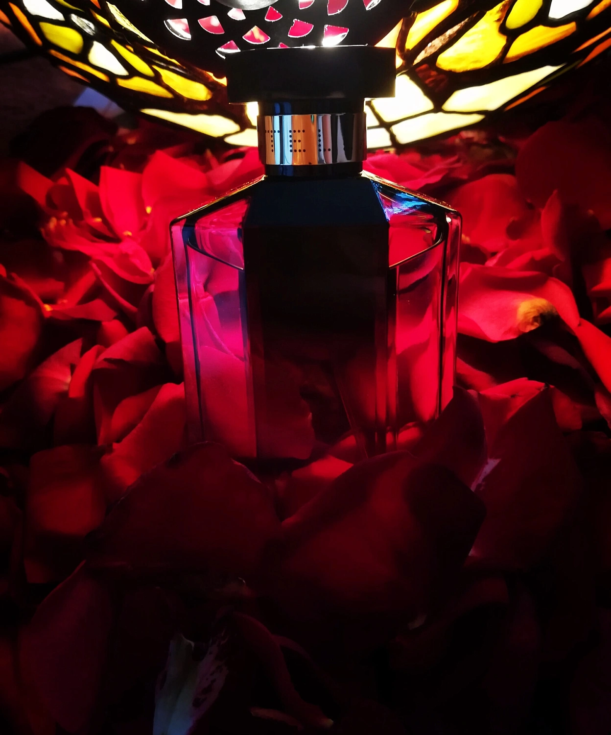 Stella McCartney Stella