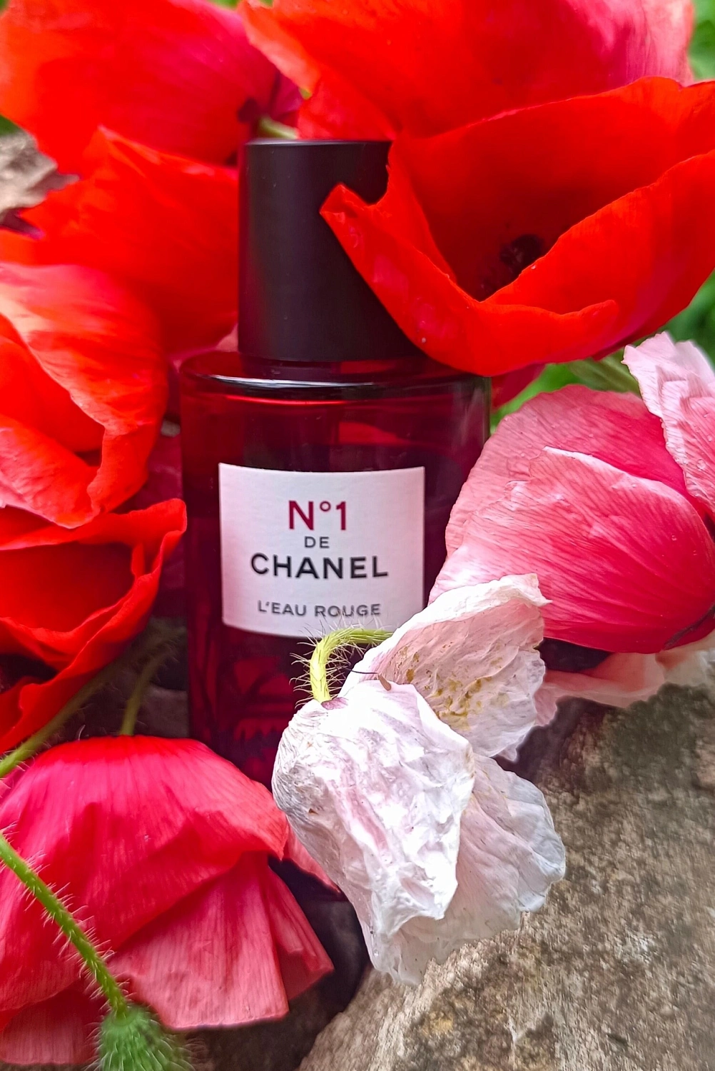N°1 de Chanel L'Eau Rouge