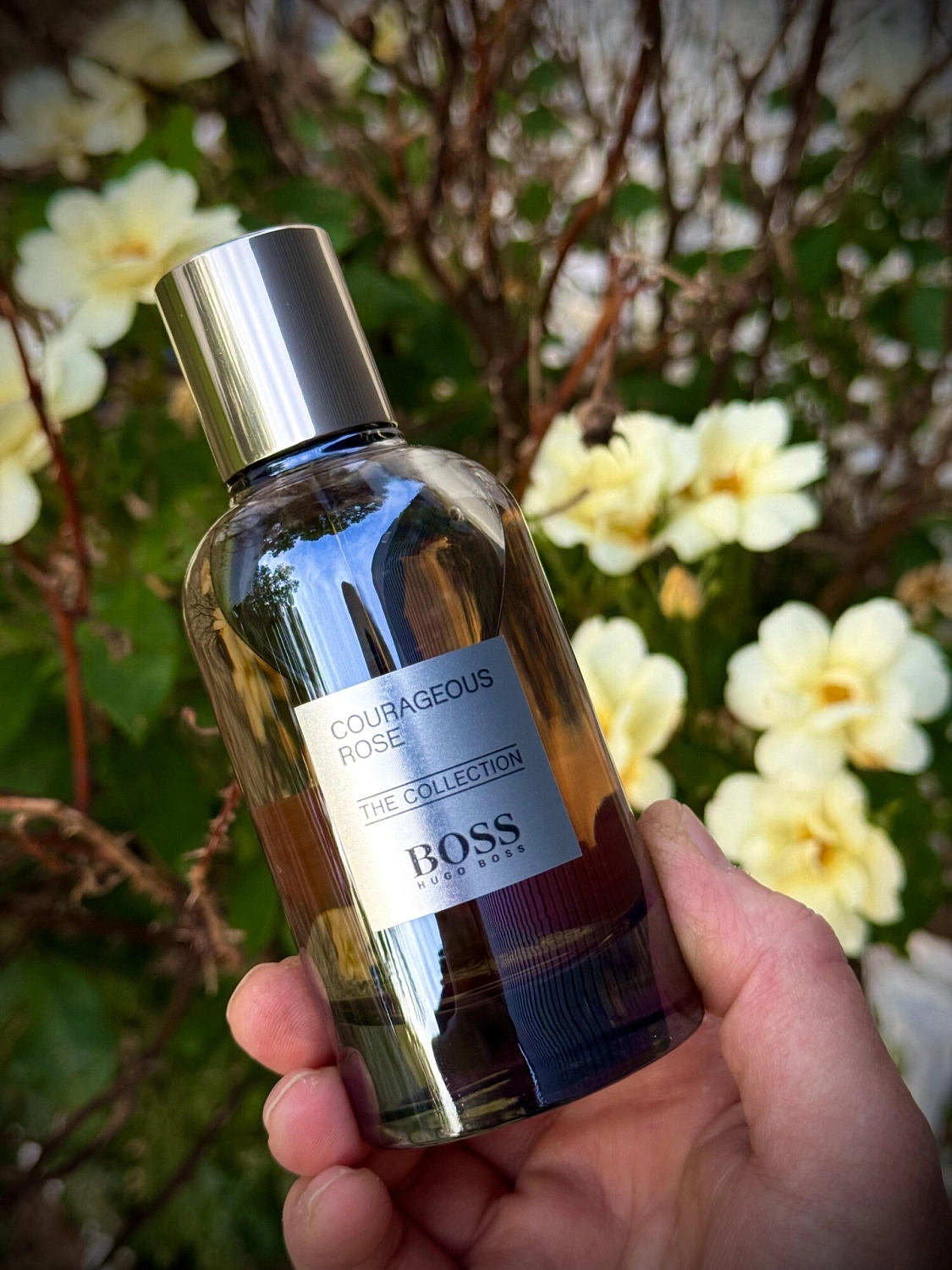 Hugo Boss Courageous Rose