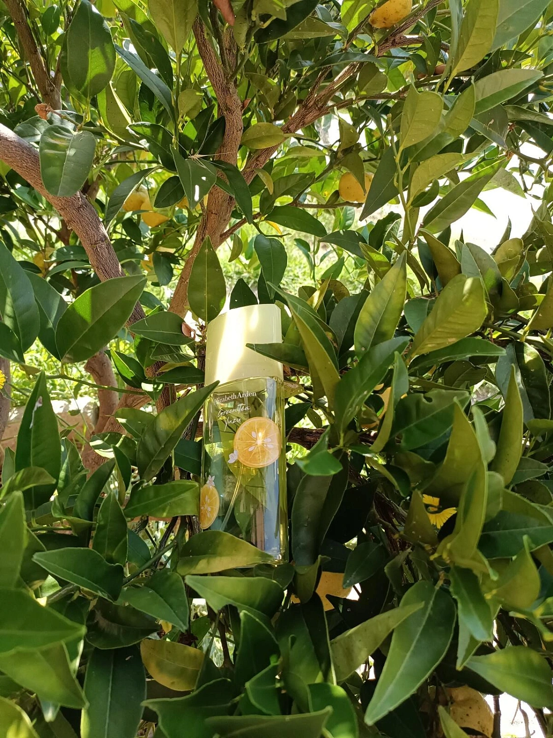 Elizabeth Arden Green Tea Yuzu