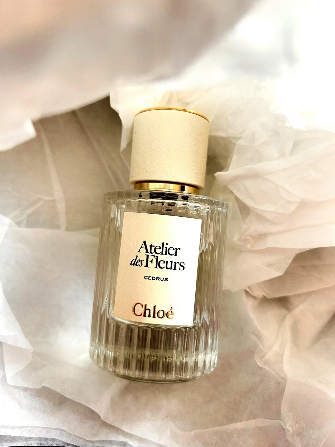 Chloé Atelier Des Fleurs Cedrus