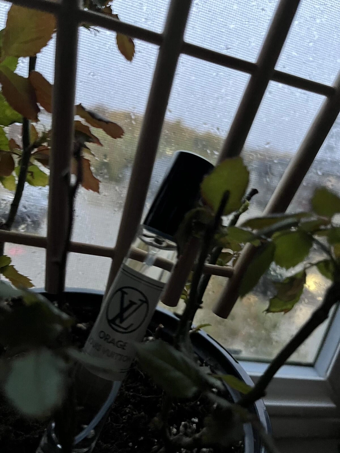 Louis Vuitton Orage