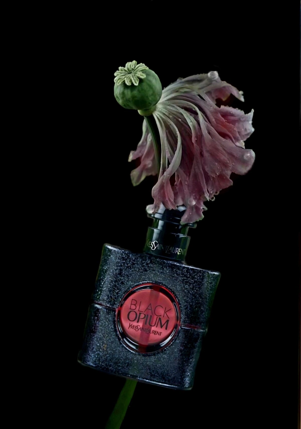 Yves Saint Laurent Black Opium