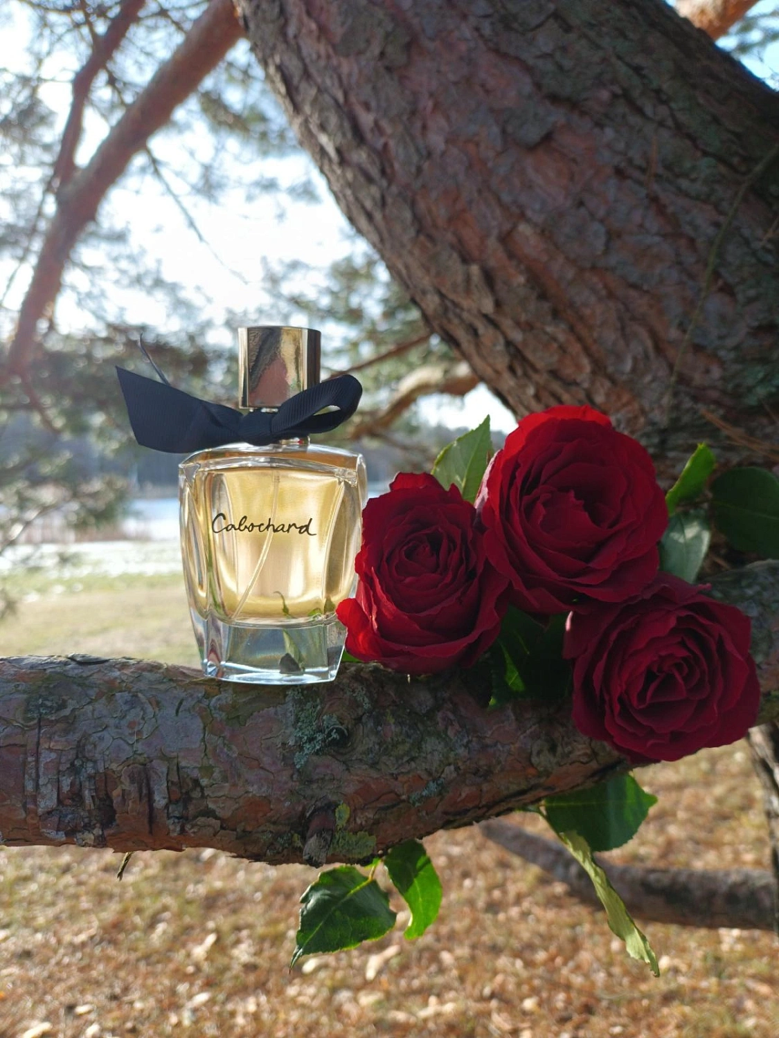 Grès Cabochard Eau de Toilette 2019