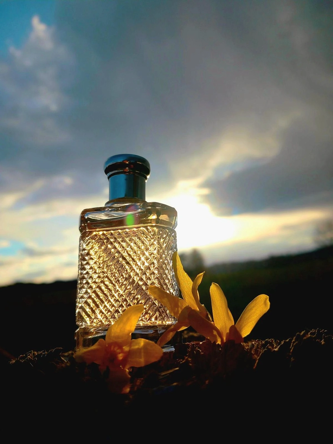 Ralph Lauren Safari for Men