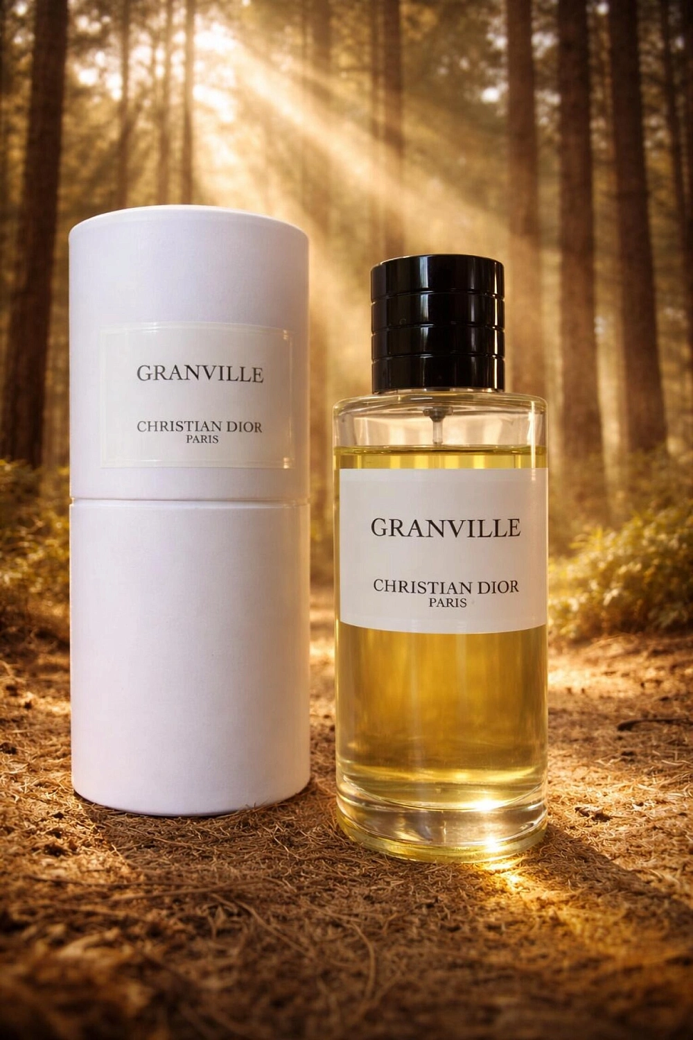 Christian Dior Granville