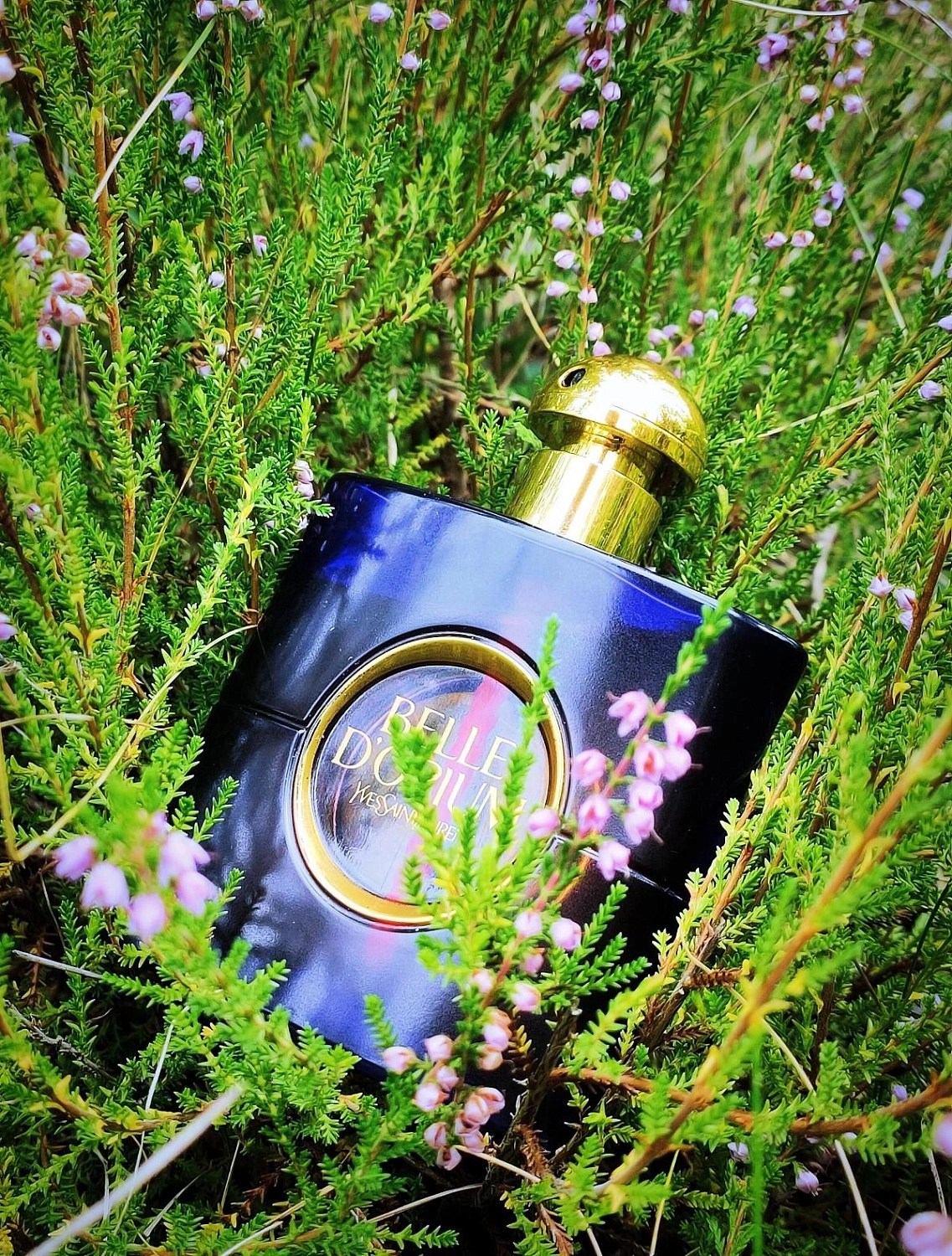 Yves Saint Laurent Belle d'Opium