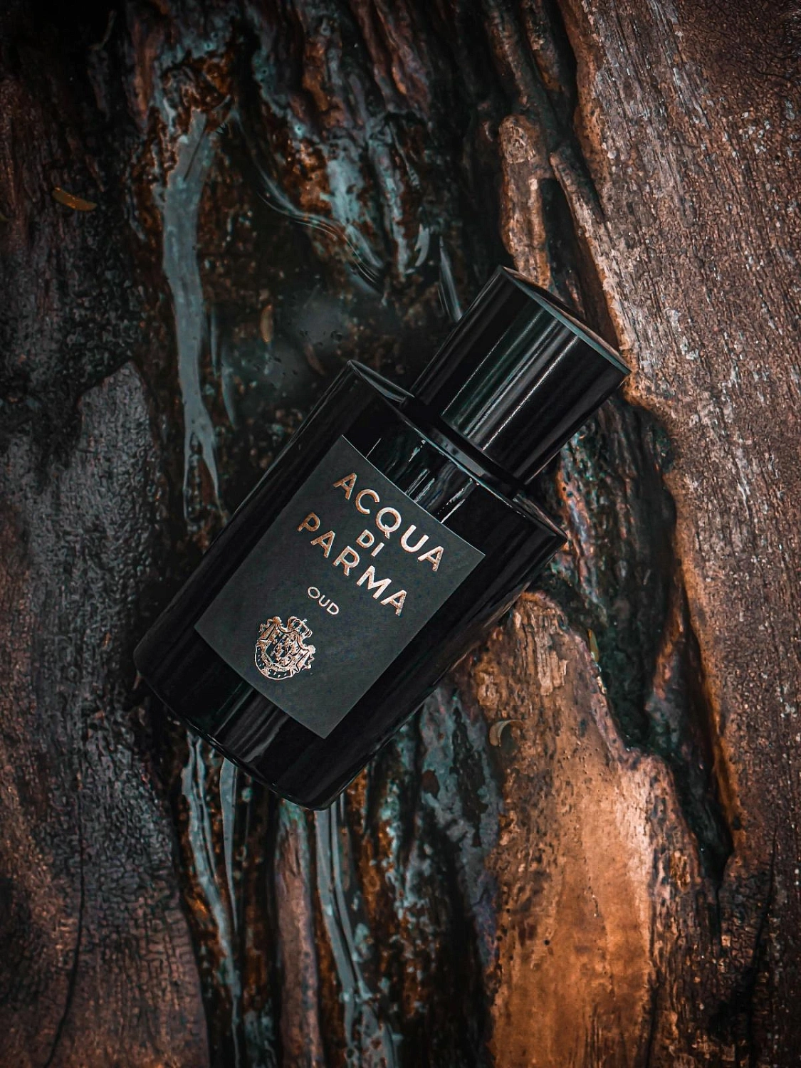 Acqua di Parma Oud Eau de Parfum