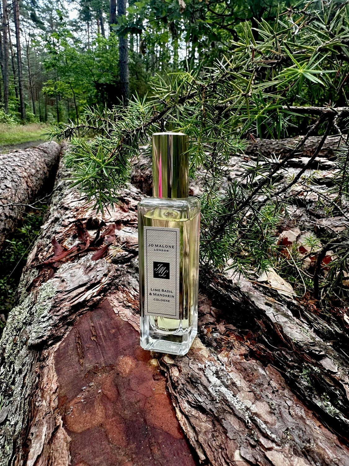 Jo Malone Lime Basil & Mandarin
