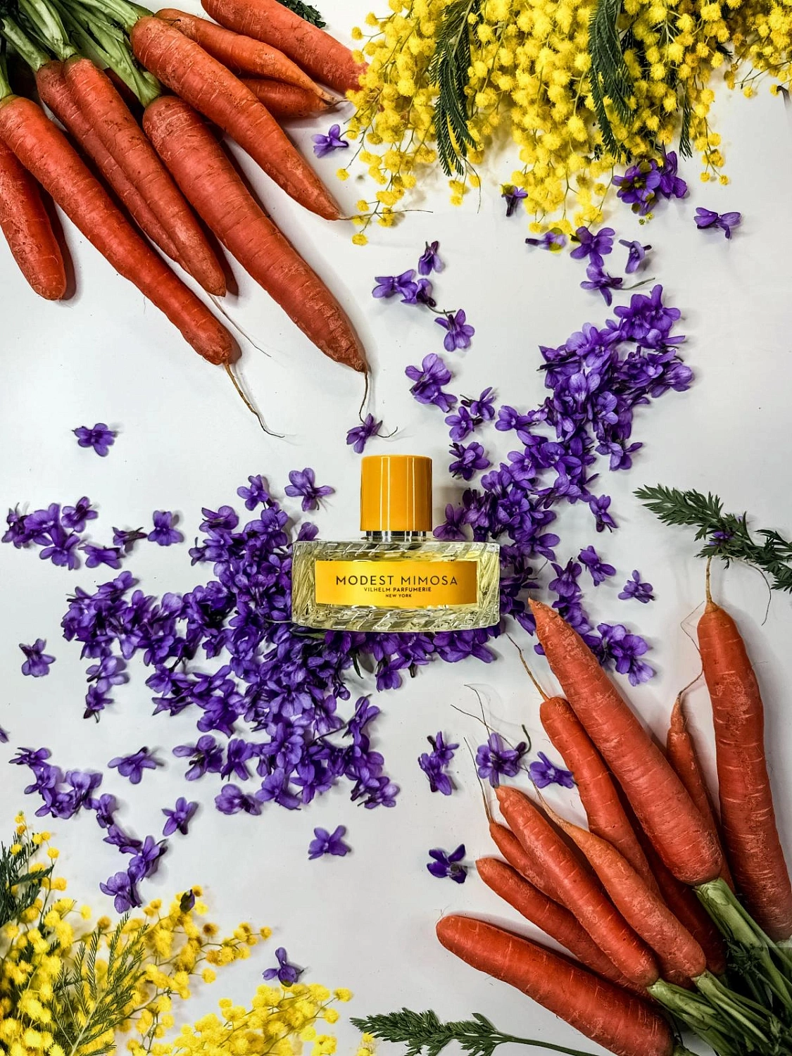 Vilhelm Parfumerie Modest Mimosa