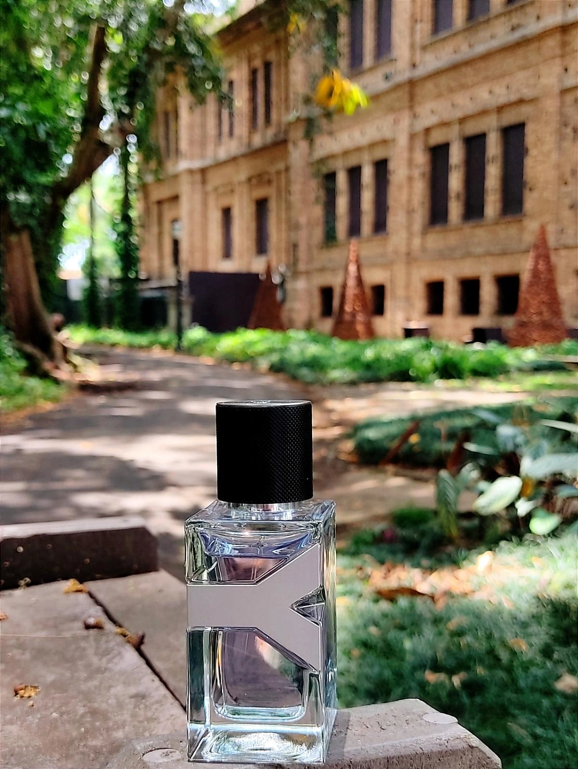 Yves Saint Laurent Y