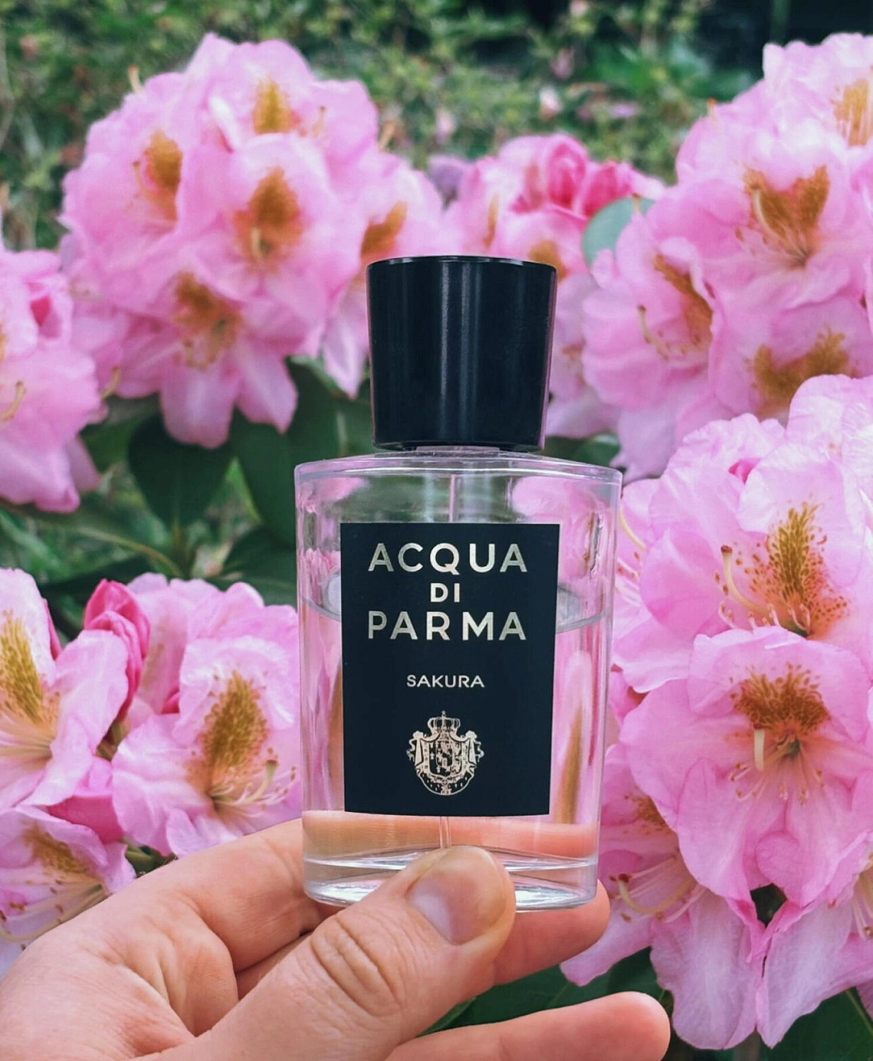 Acqua di Parma Sakura Eau de Parfum