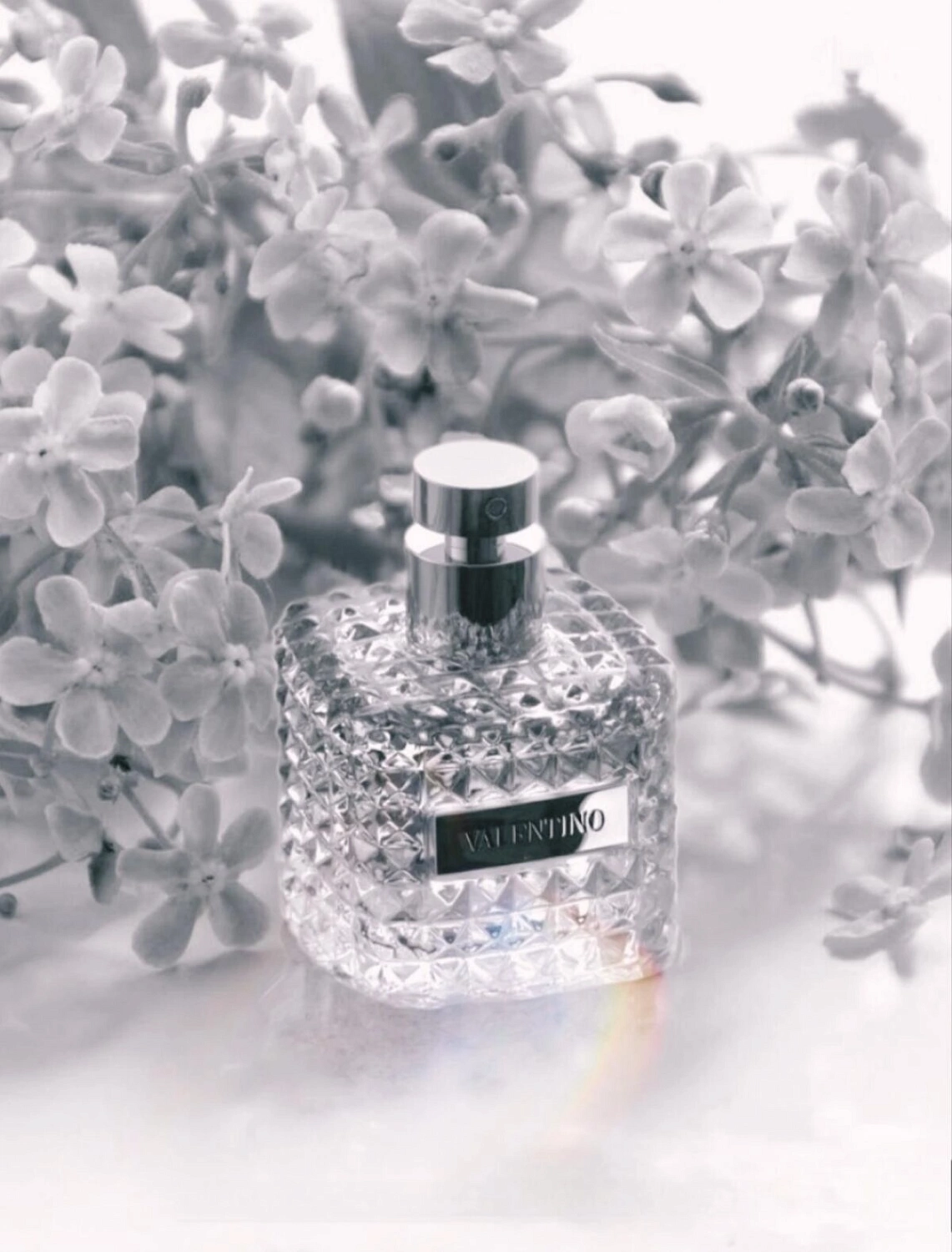 Valentino Donna