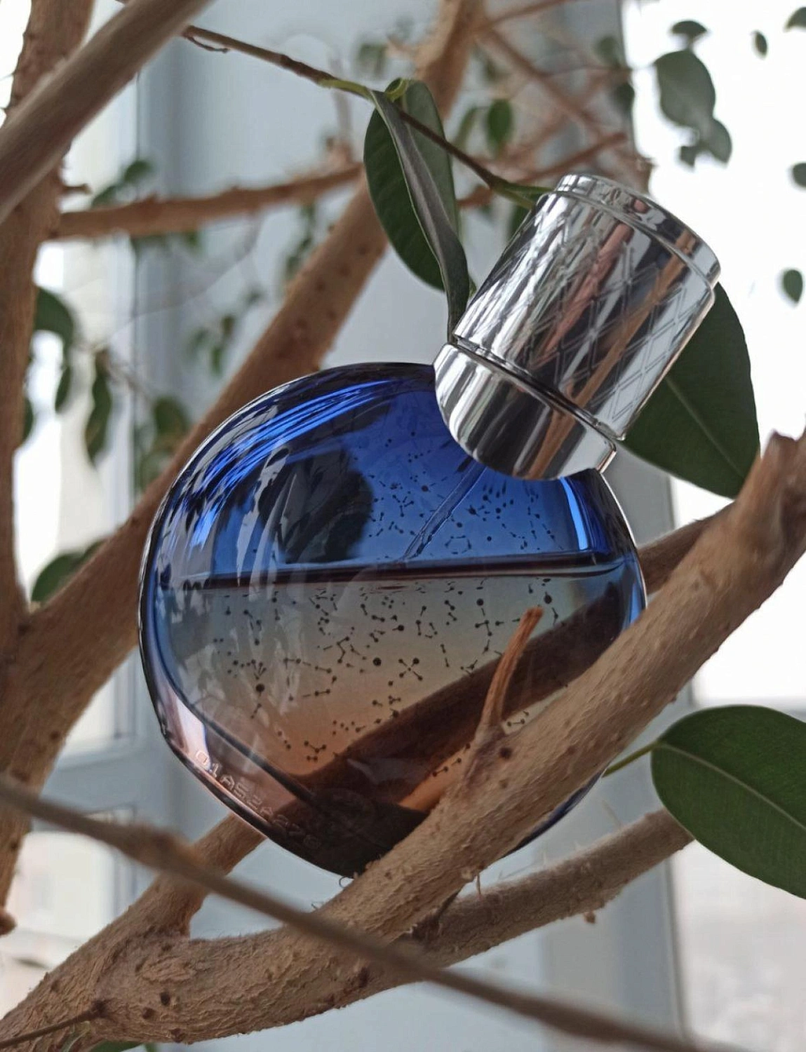 Van Cleef & Arpels Midnight in Paris