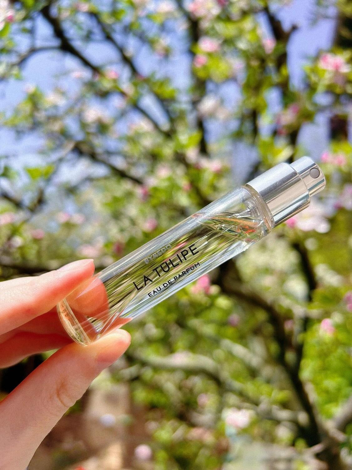 BYREDO La Tulipe