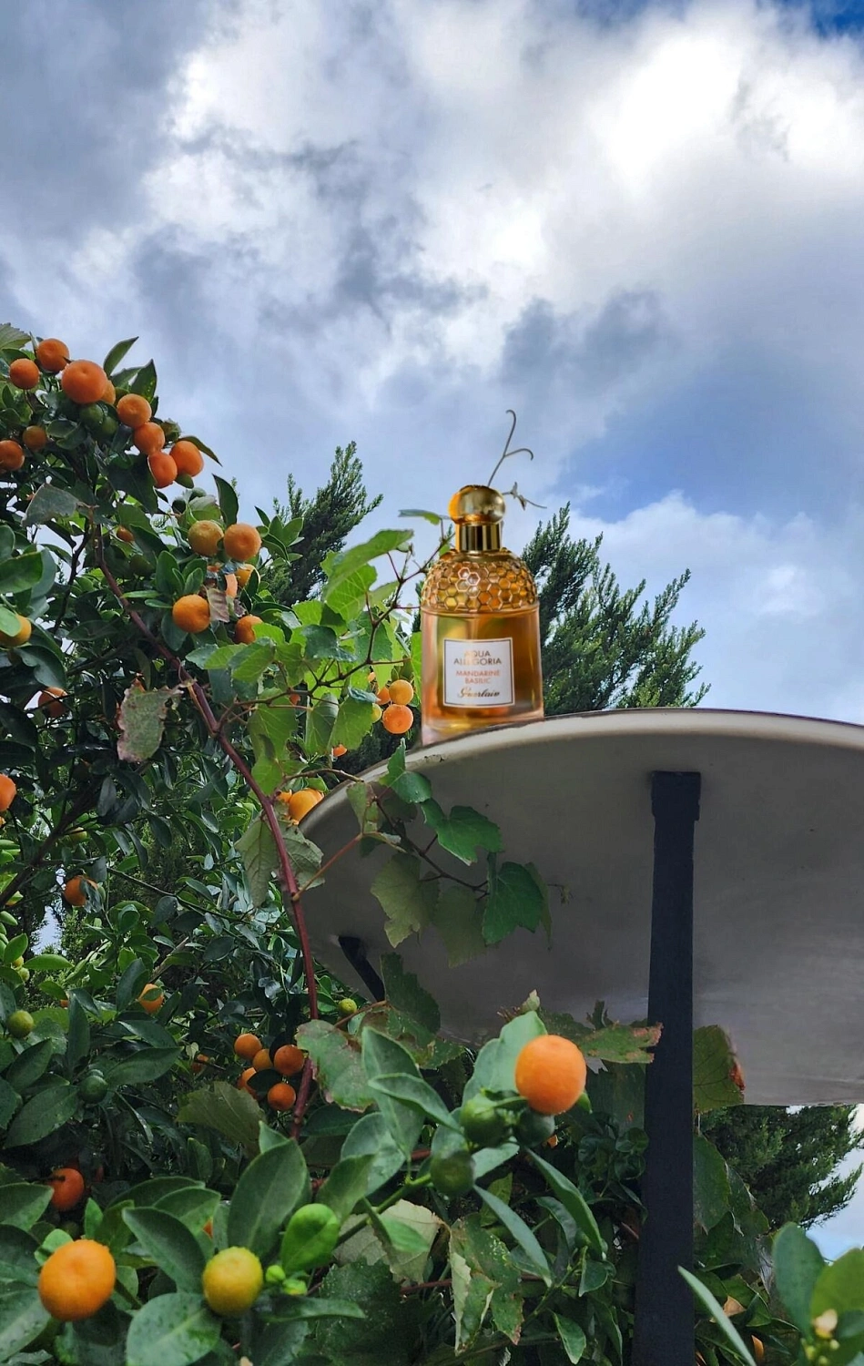 Guerlain Aqua Allegoria Mandarine Basilic