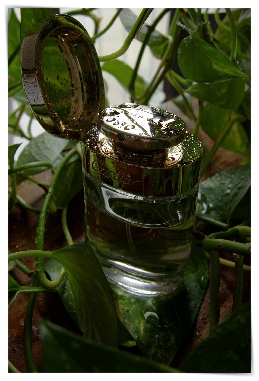 Cartier Baiser Vole