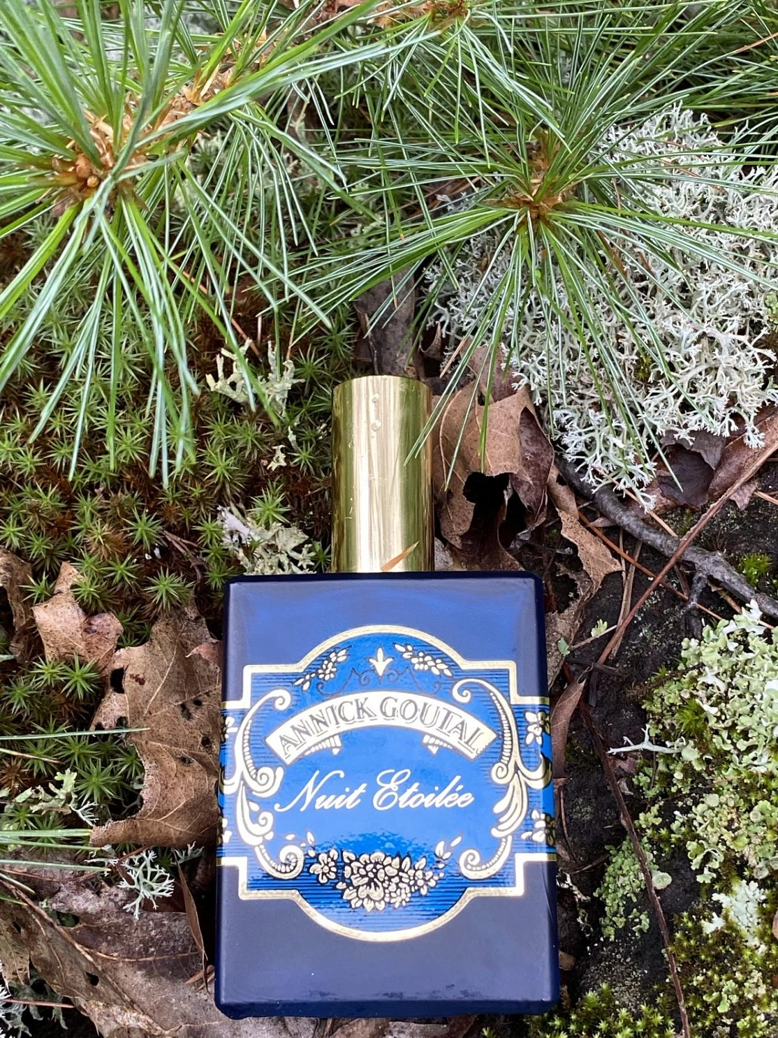 Annick Goutal Nuit Etoilee Men