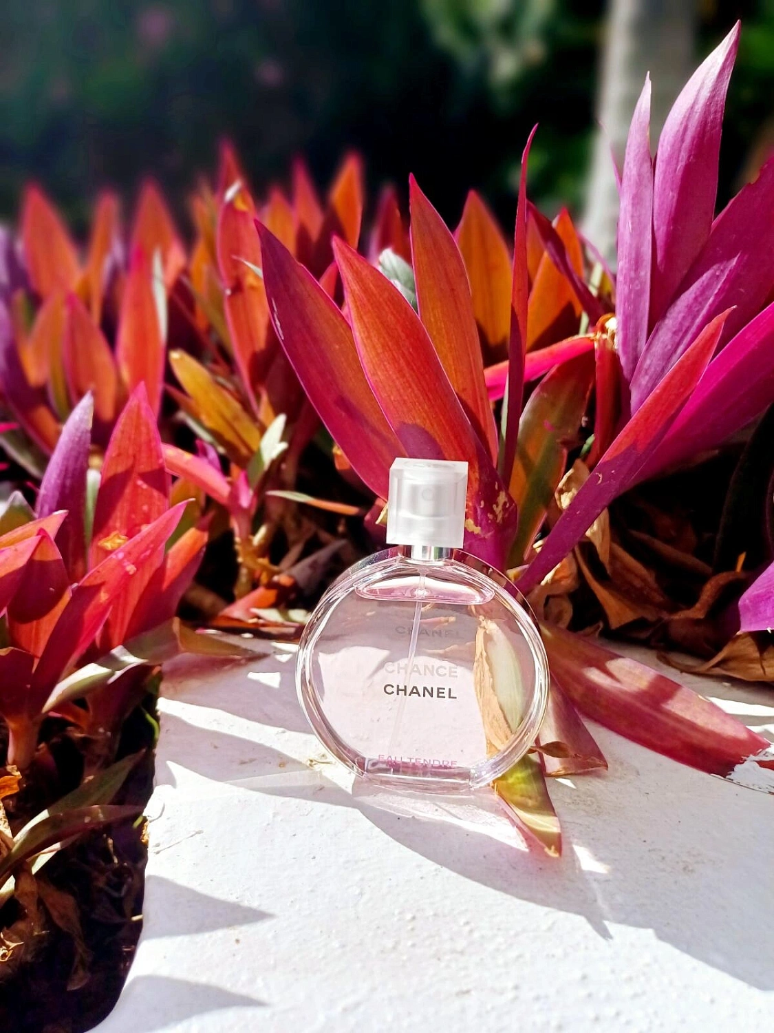 Chanel Chance Eau Tendre