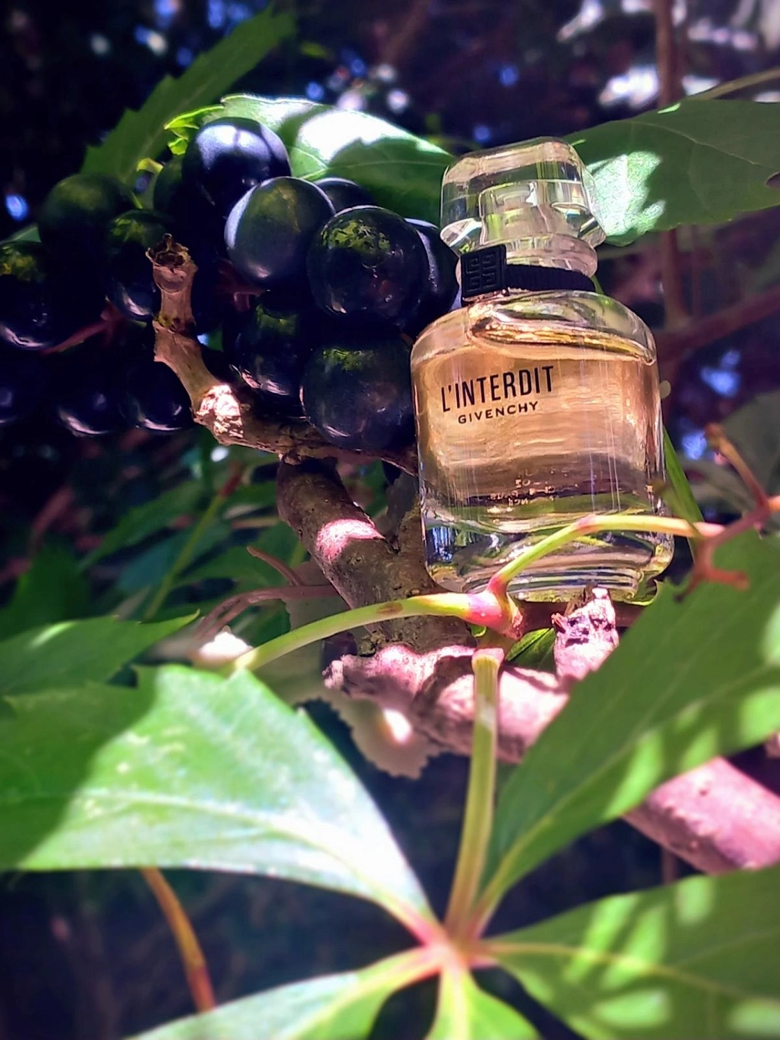Givenchy L'Interdit (2018)