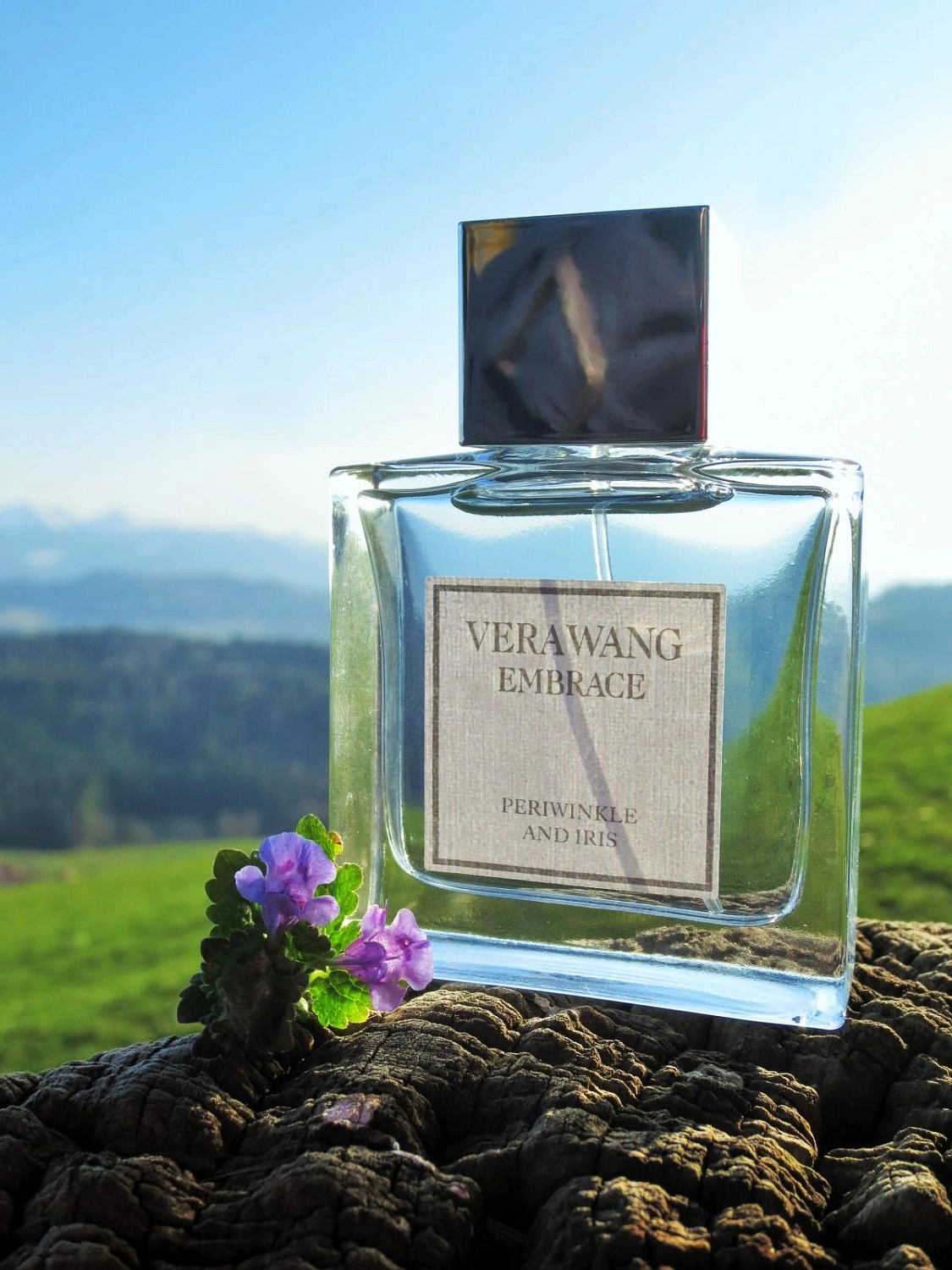 Vera Wang Embrace Periwinkle & Iris