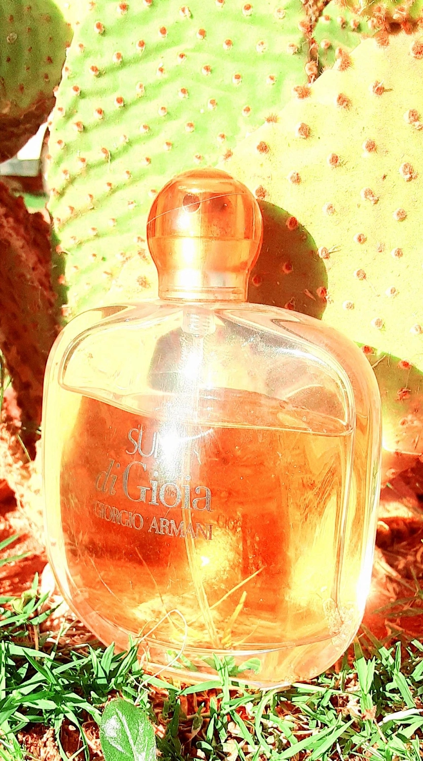 Armani Sun di Gioia