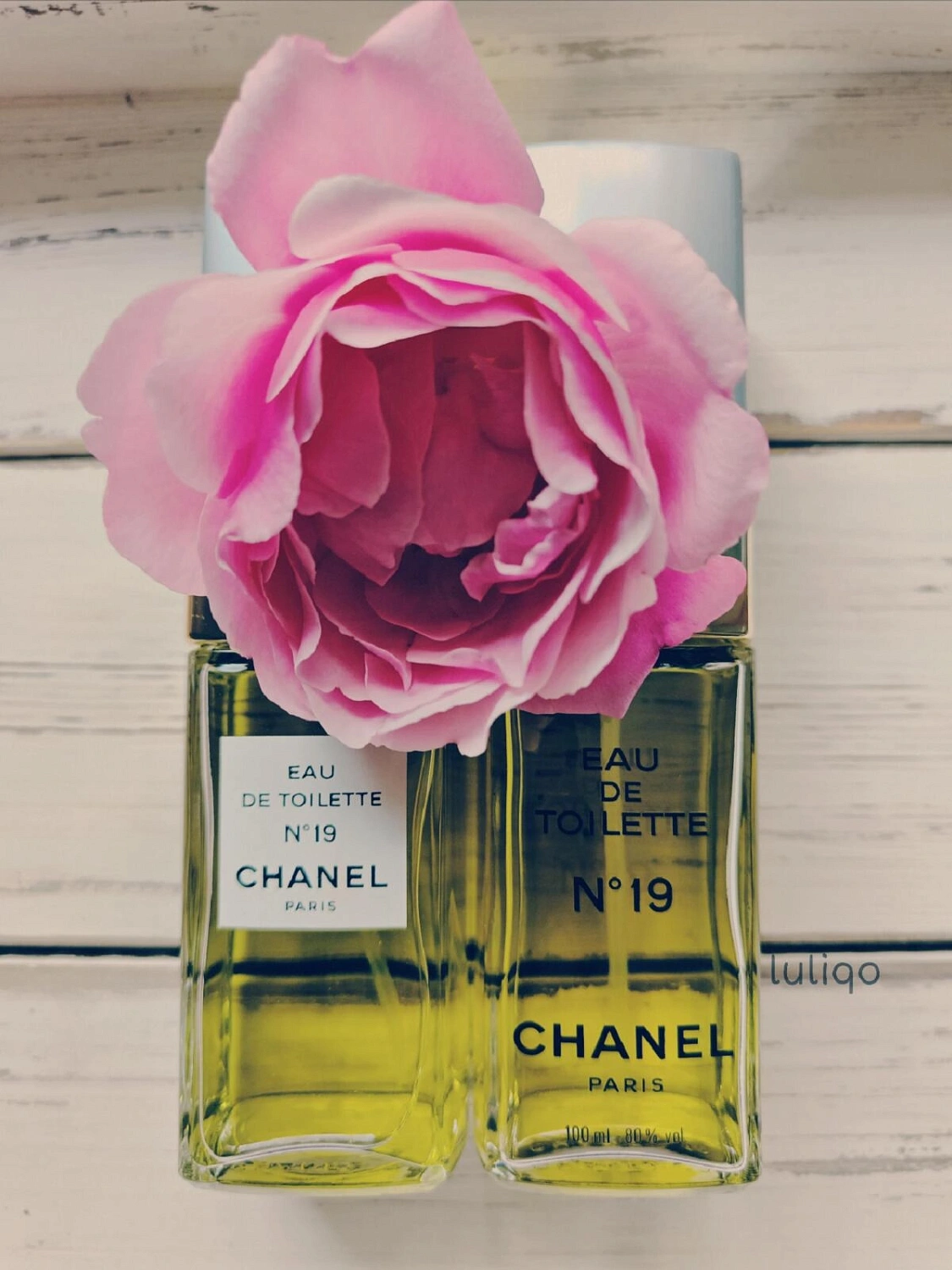 Chanel N°19
