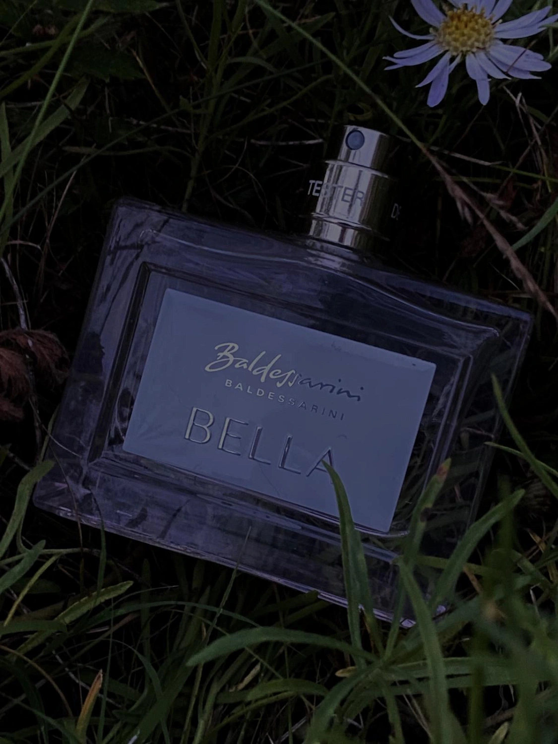 Baldessarini Bella