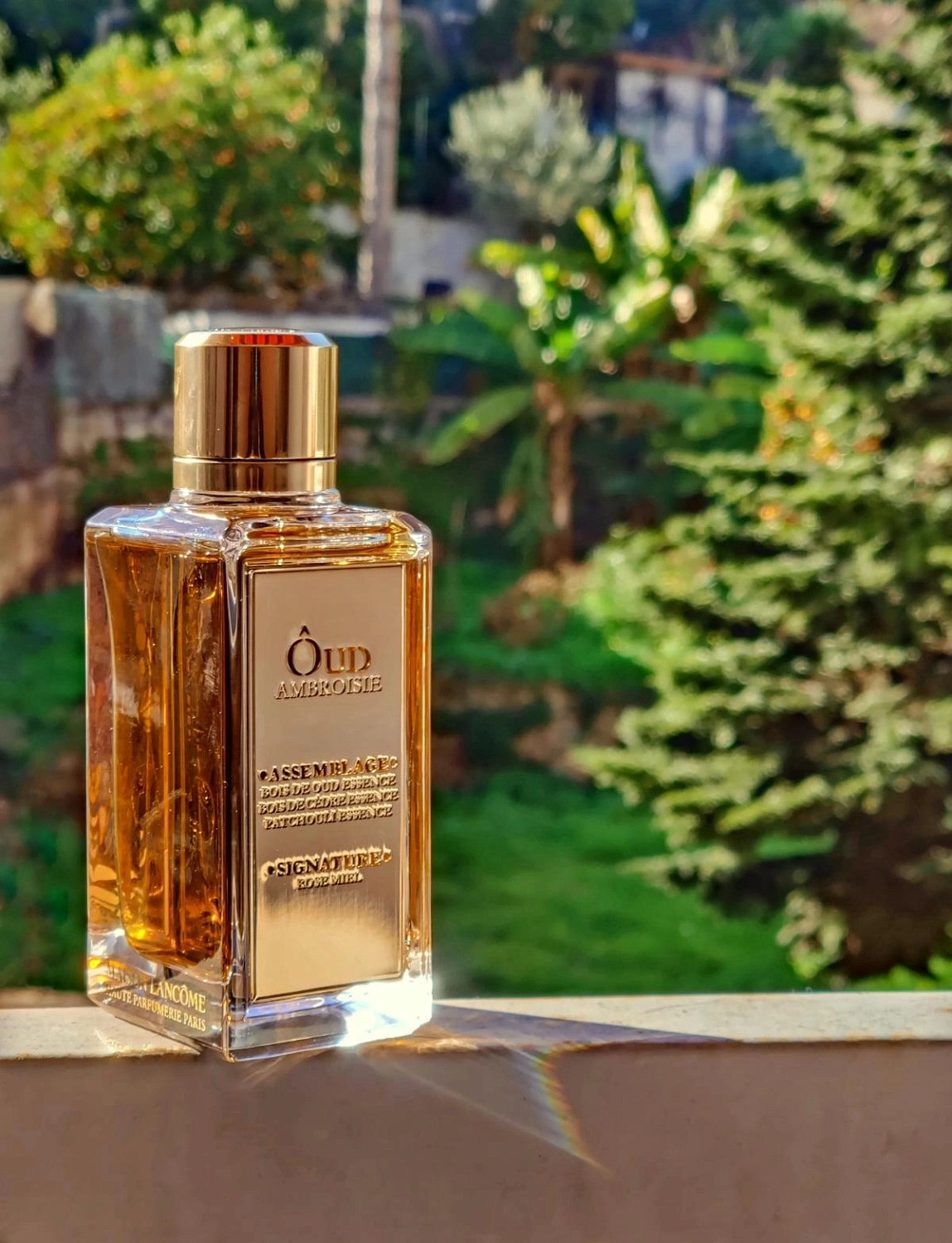 Lancôme Oud Ambroisie