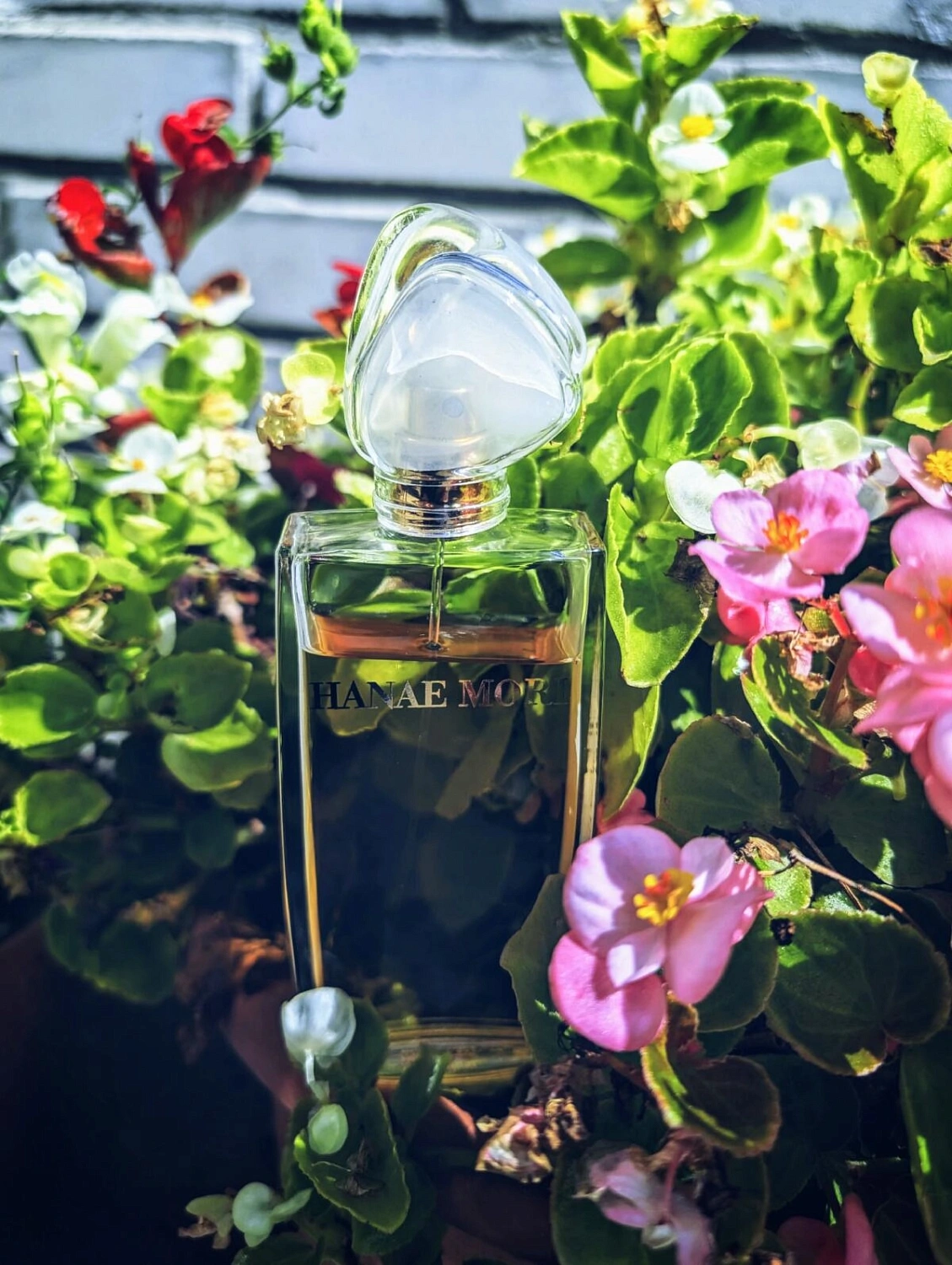 Hanae Mori Eau de Toilette