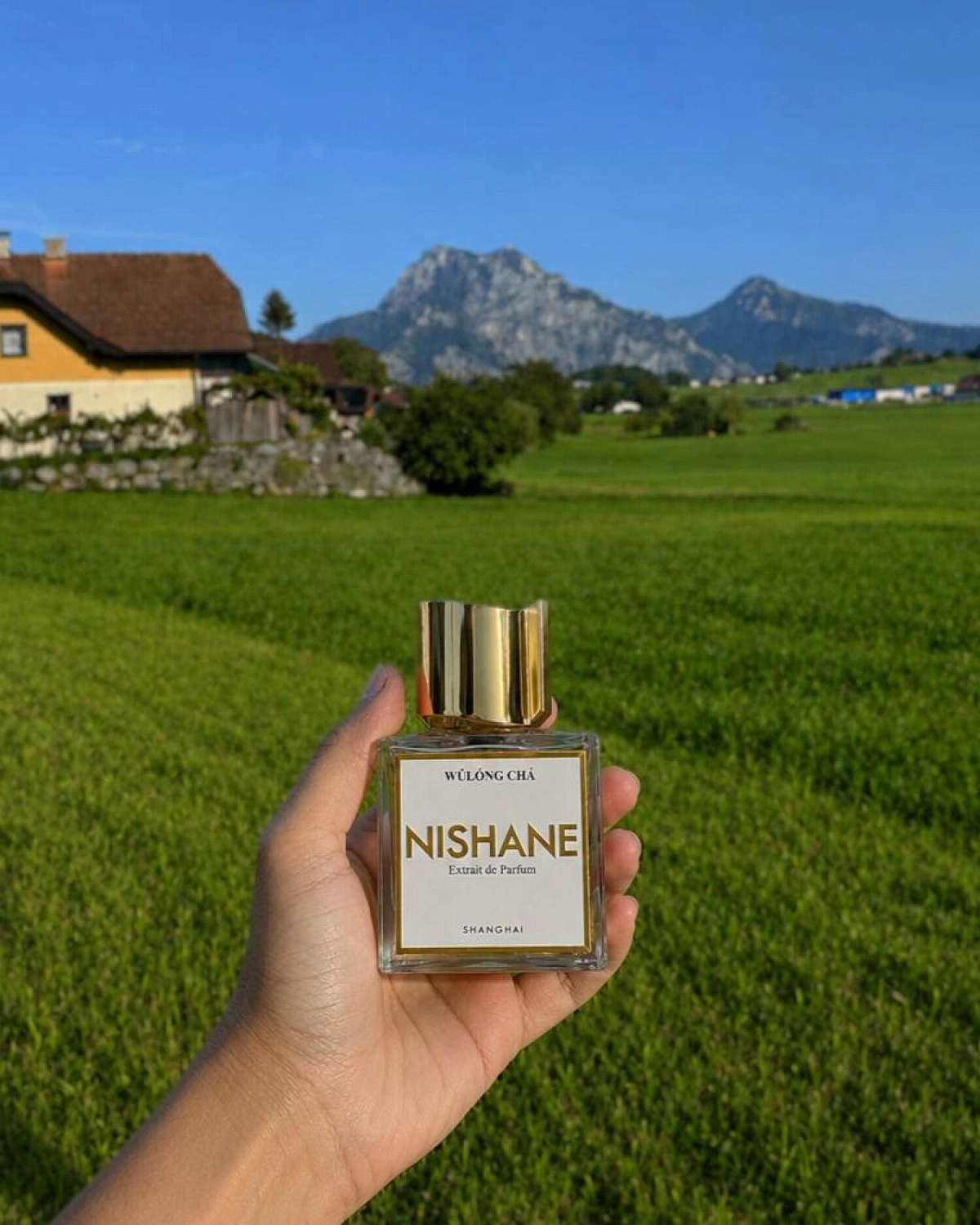 Nishane Wulong Cha