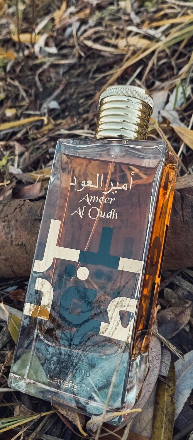 Lattafa Ameer Al Oudh Intense Oud